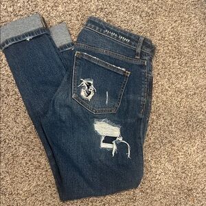 Gilded Intent Blue Ankle & Cropped Jeans